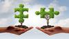 Talent to Task: The Digital Health Accelerator Dilemma