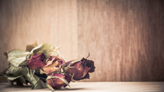 MU’s Meaningless Marriage: Don’t Patients and Providers Want to Be Engaged?