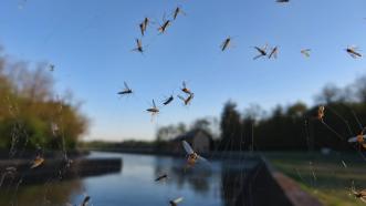 Study Links Climate Change to a Potential Upsurge in Some of the World's Deadliest Diseases